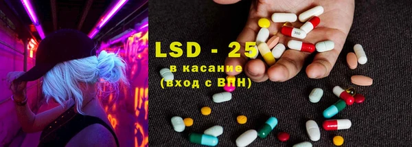 PSILOCYBIN Бородино
