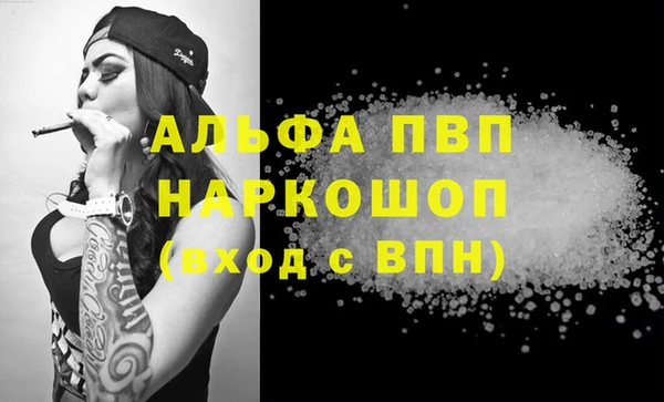 PSILOCYBIN Бородино